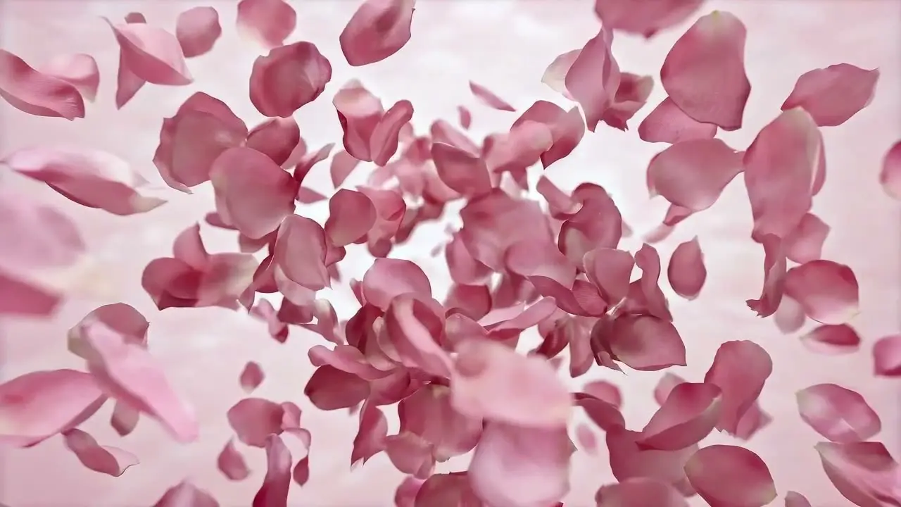 法式轻奢香水广告｜视频节点 34