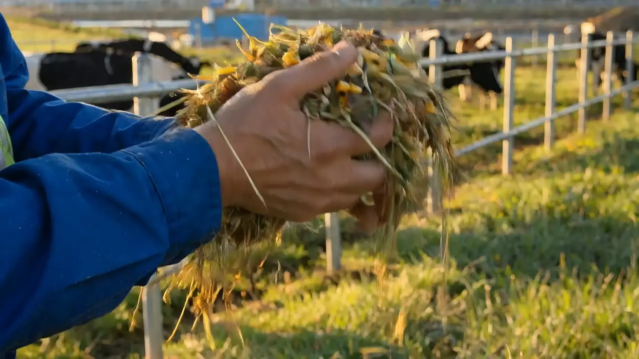 简爱酸奶520品牌广告｜视频节点 19 - 副本