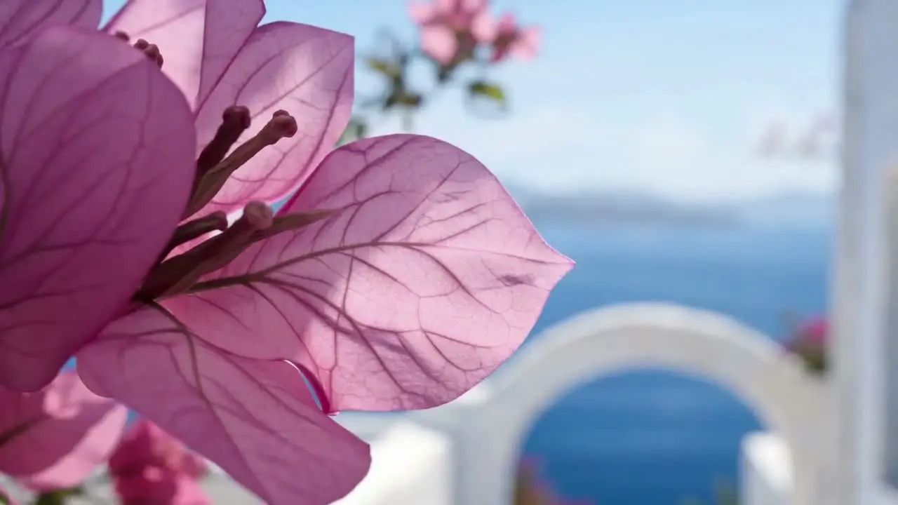 沉潜夏日｜视频节点 3 - 副本