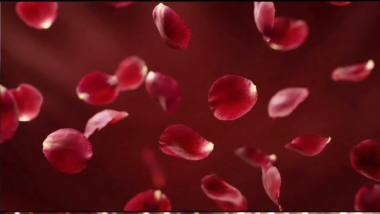 轻奢香水广告｜视频节点 11