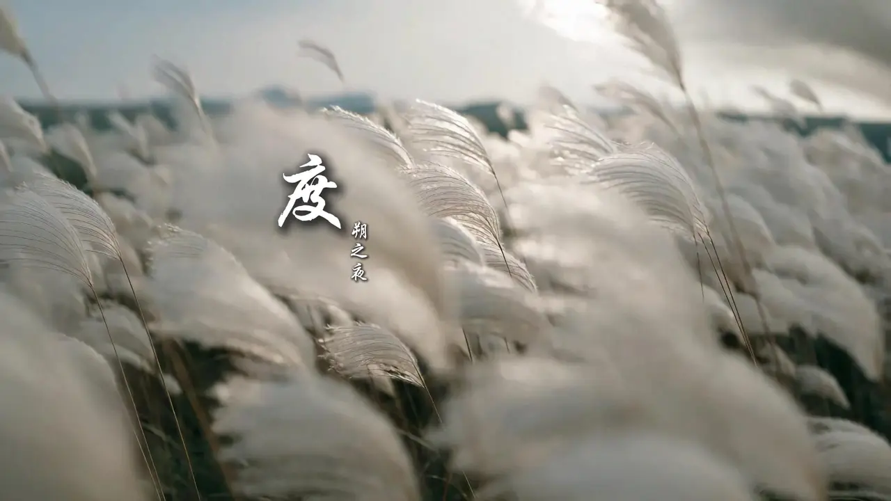 度
