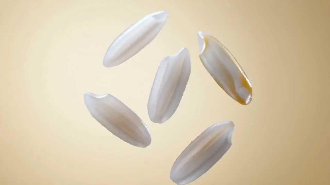 锅气交响 扬州炒饭美食短片｜视频节点 12