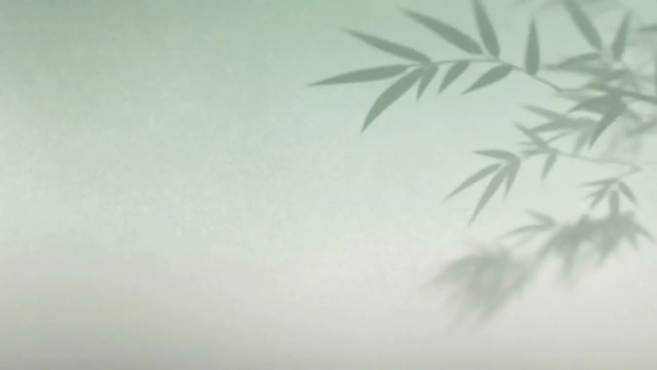 竹丝扣瓷｜视频节点 2