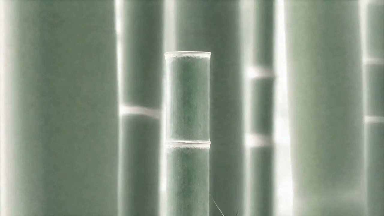 竹丝扣瓷｜视频节点 22
