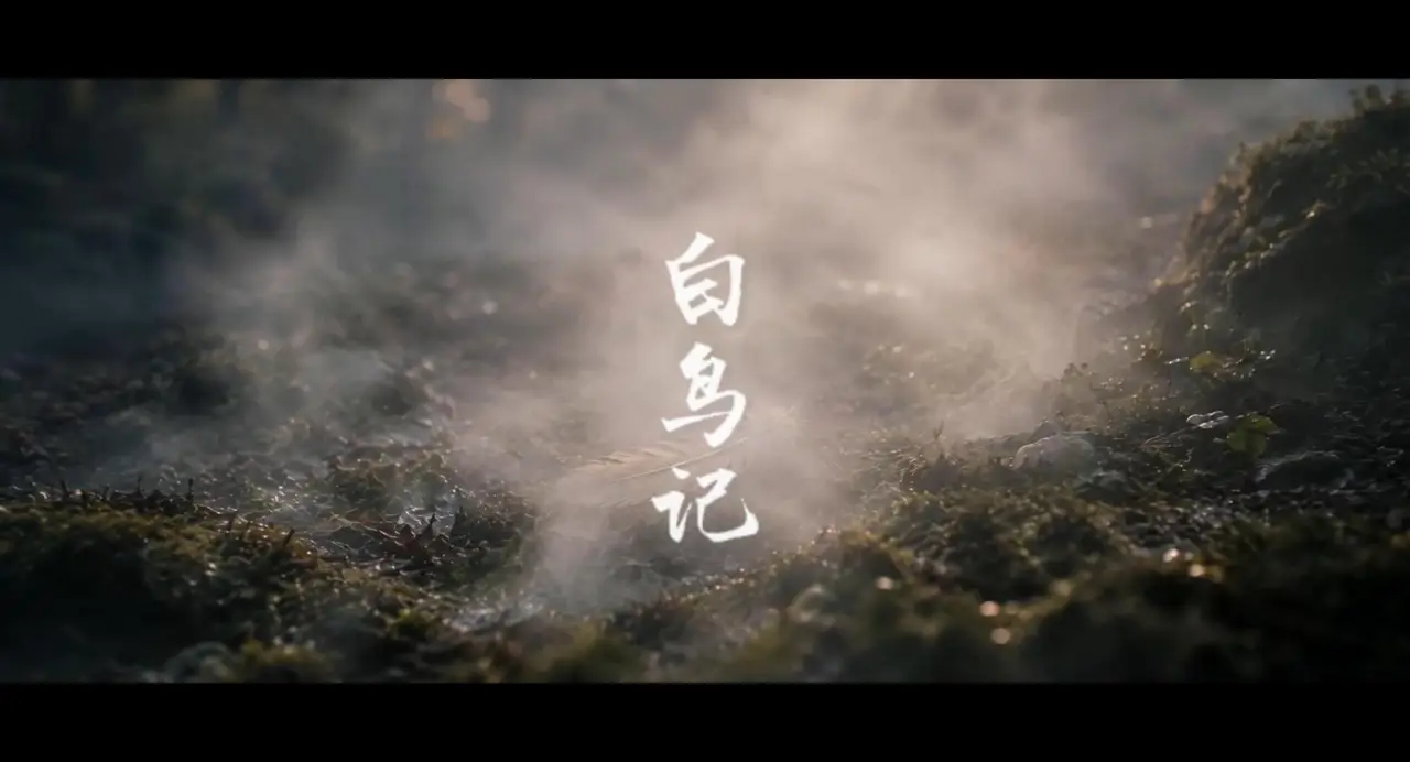 白鸟记
