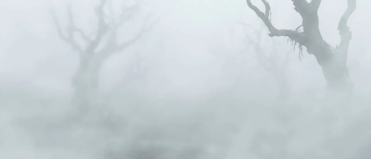 白鸟记｜视频节点 10