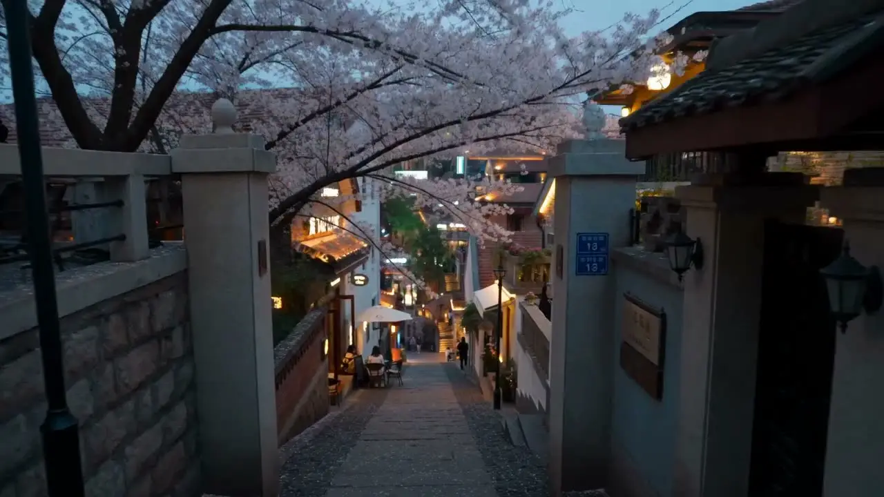 逛遍江城，不负此行｜视频节点 48