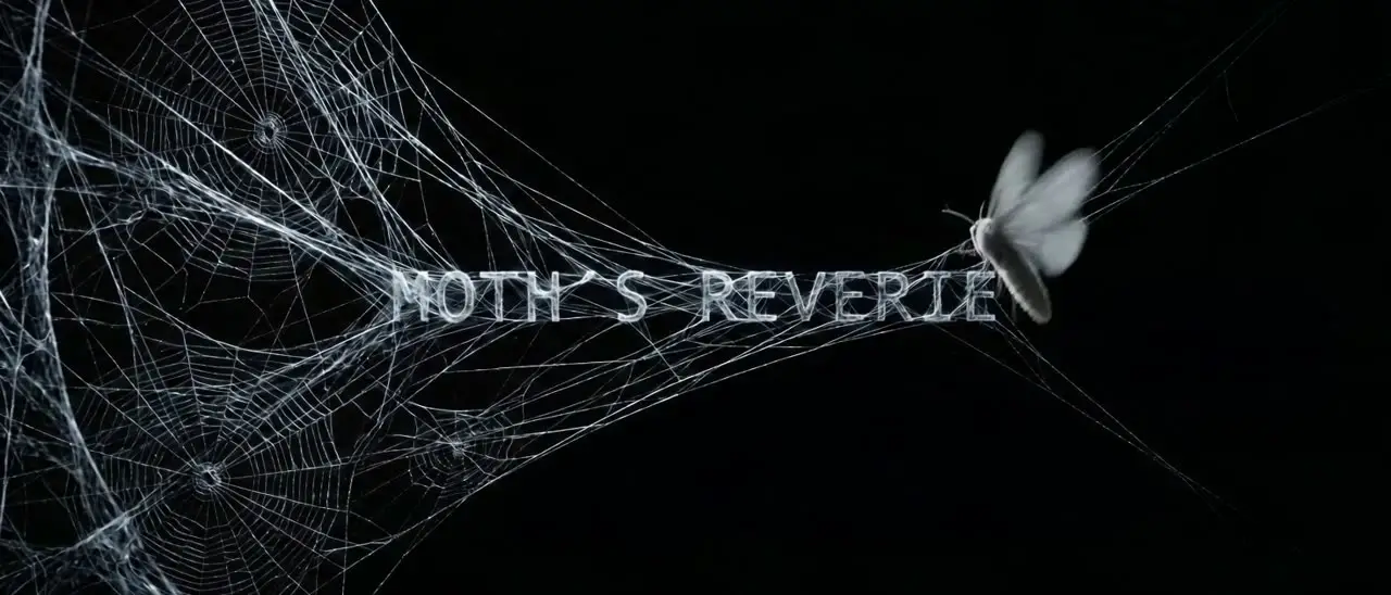 Moth's Reverie｜视频节点 6 - 副本