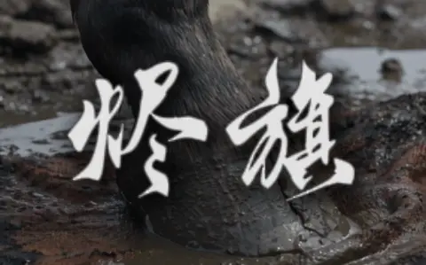 烬旗