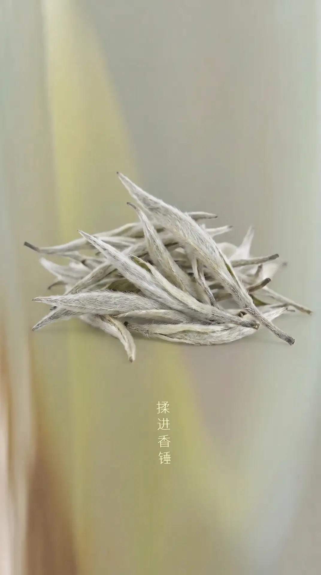 制作TVC广告的邪修思路（仅供参考不允许商用）｜图片节点 13