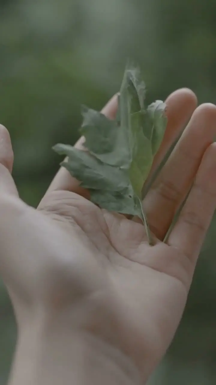 制作TVC广告的邪修思路（仅供参考不允许商用）｜视频节点 58