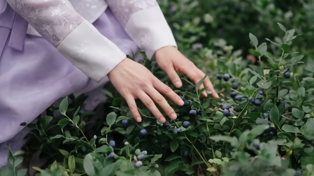 生生不息-安慕希整颗蓝莓酸奶｜视频节点 28