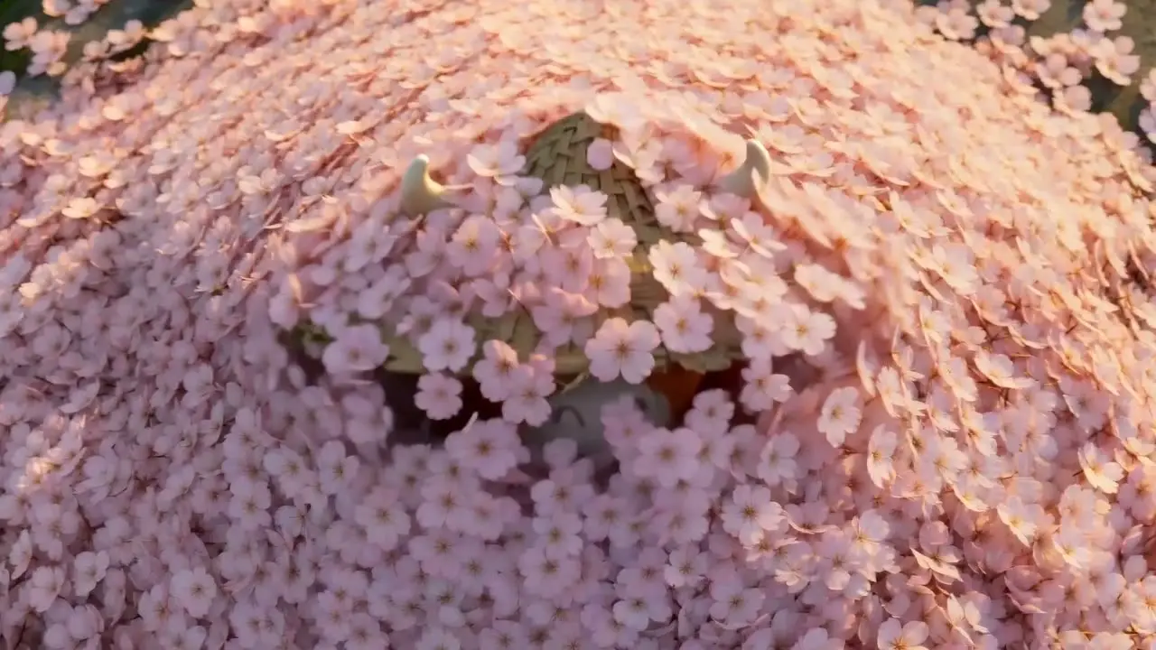 神牛大侠｜视频节点 2