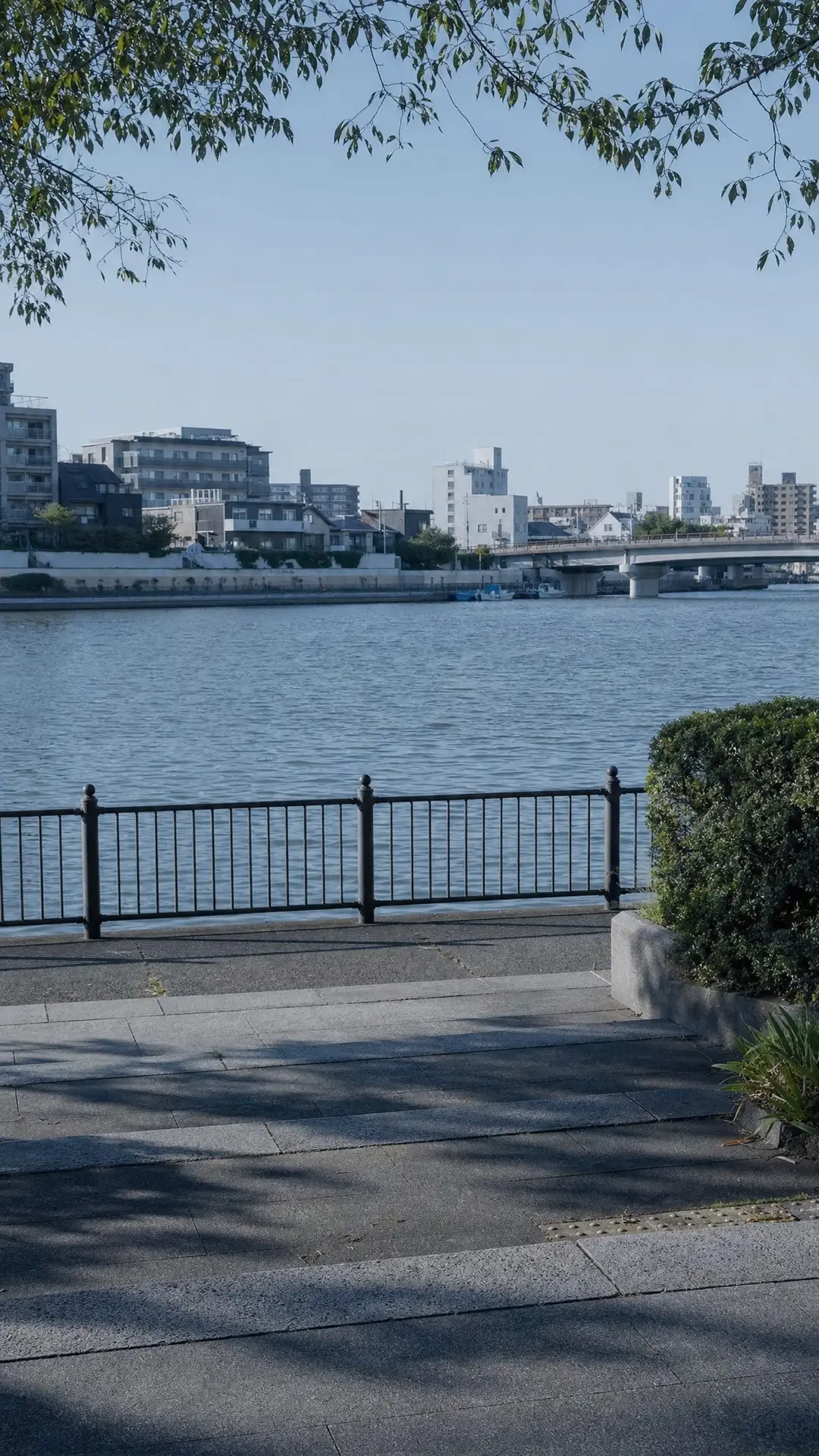 《蕾塞在的日子》先导PV|场景_河岸_陌生城市空场