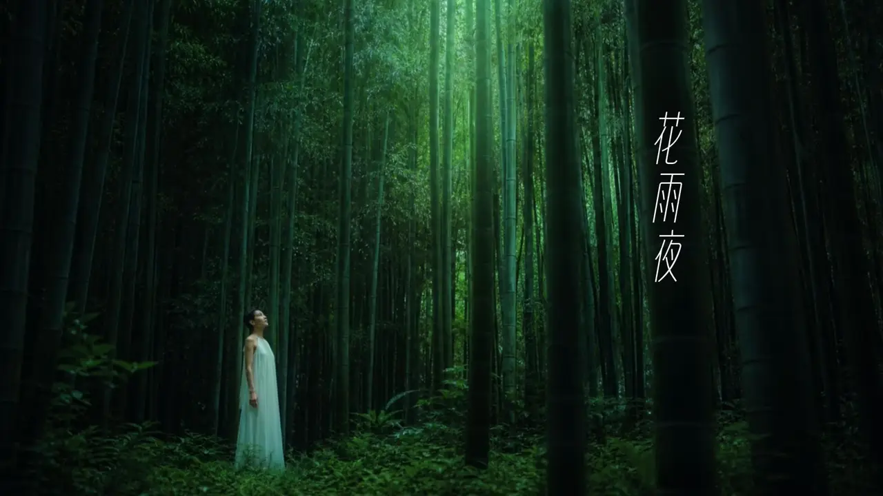 AI高清重制版张清芳《花雨夜》音乐MV
