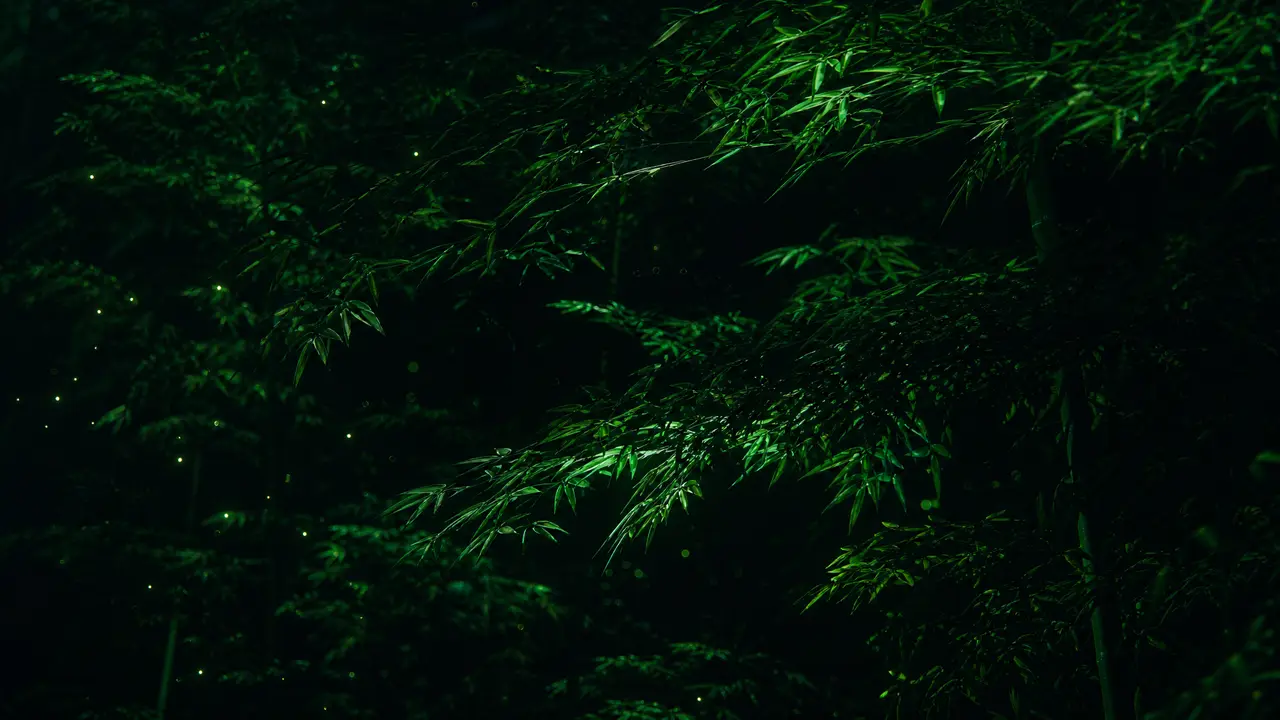 AI高清重制版张清芳《花雨夜》音乐MV|MV空镜-夜间竹叶荧光