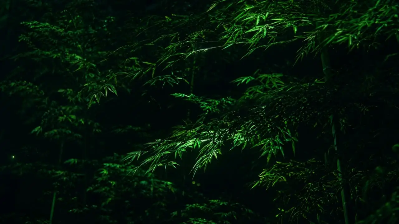 AI高清重制版张清芳《花雨夜》音乐MV｜视频节点 2
