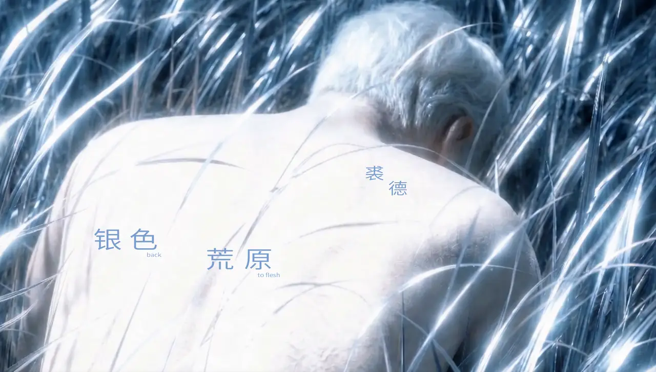 视觉概念MV-裘德《银色荒原》