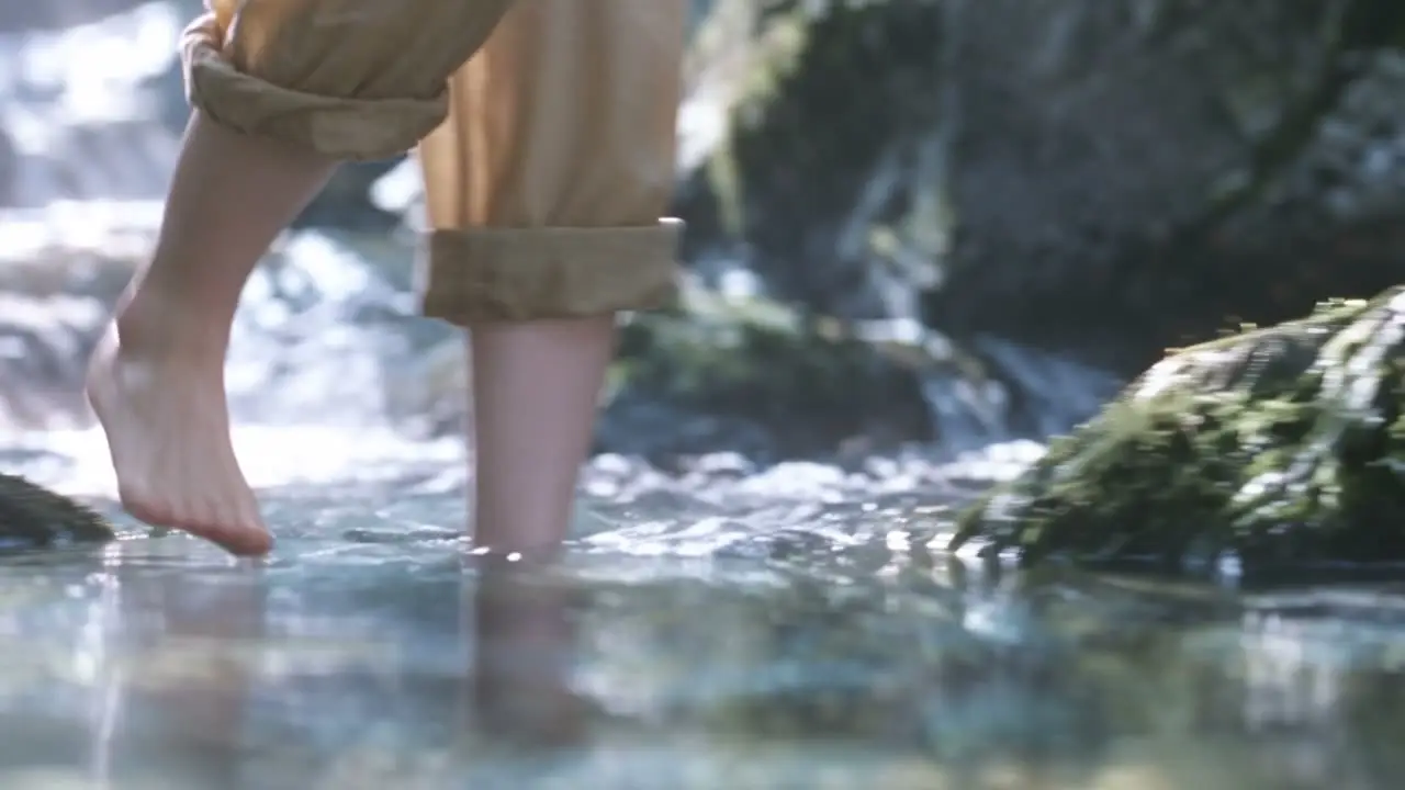「猫与山海，一路向野」｜S02 · 山林溪流与骤雨
