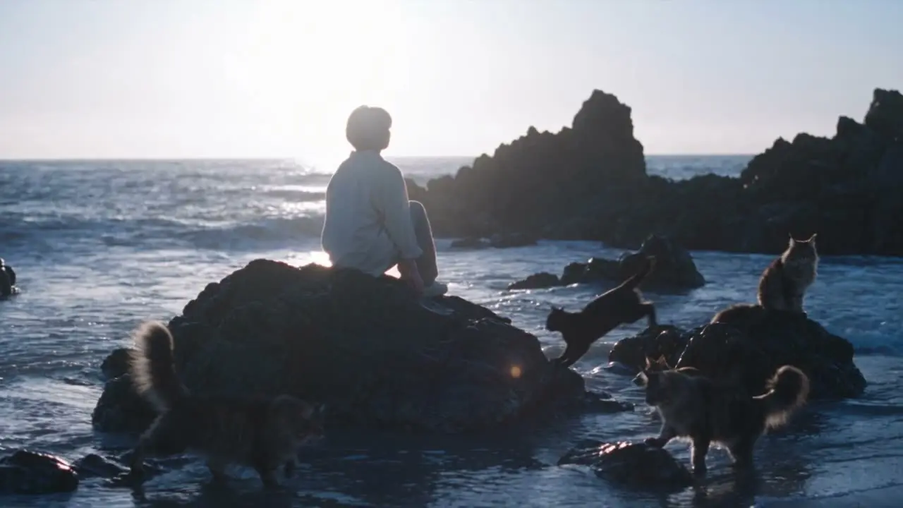 「猫与山海，一路向野」｜S05 · 海边礁石