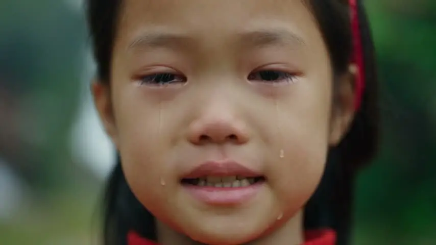《耕梦者》｜视频节点 2 - 副本