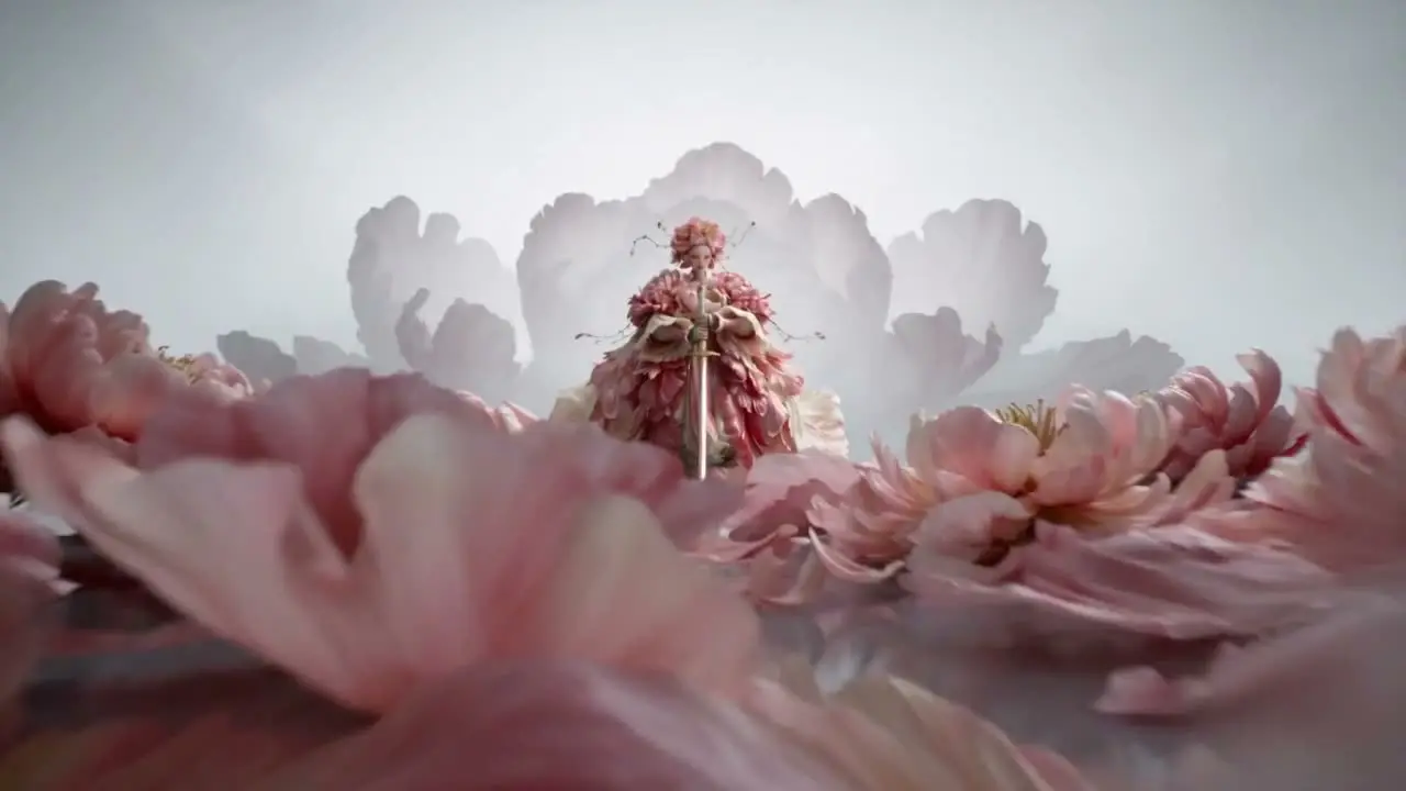 花妖｜视频节点 8 - 副本
