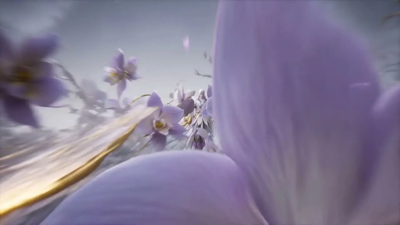 花妖｜视频节点 7