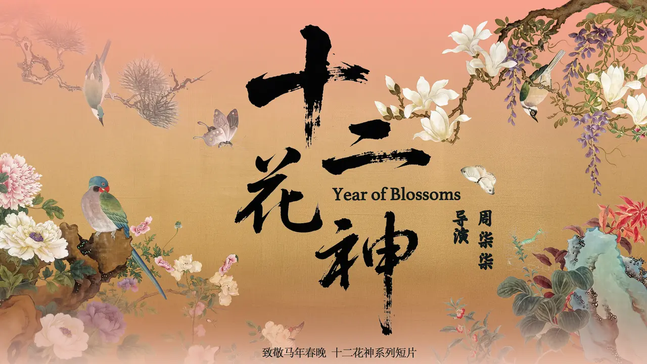 春晚十二花神🌸爆火的背后是优质的文化输出