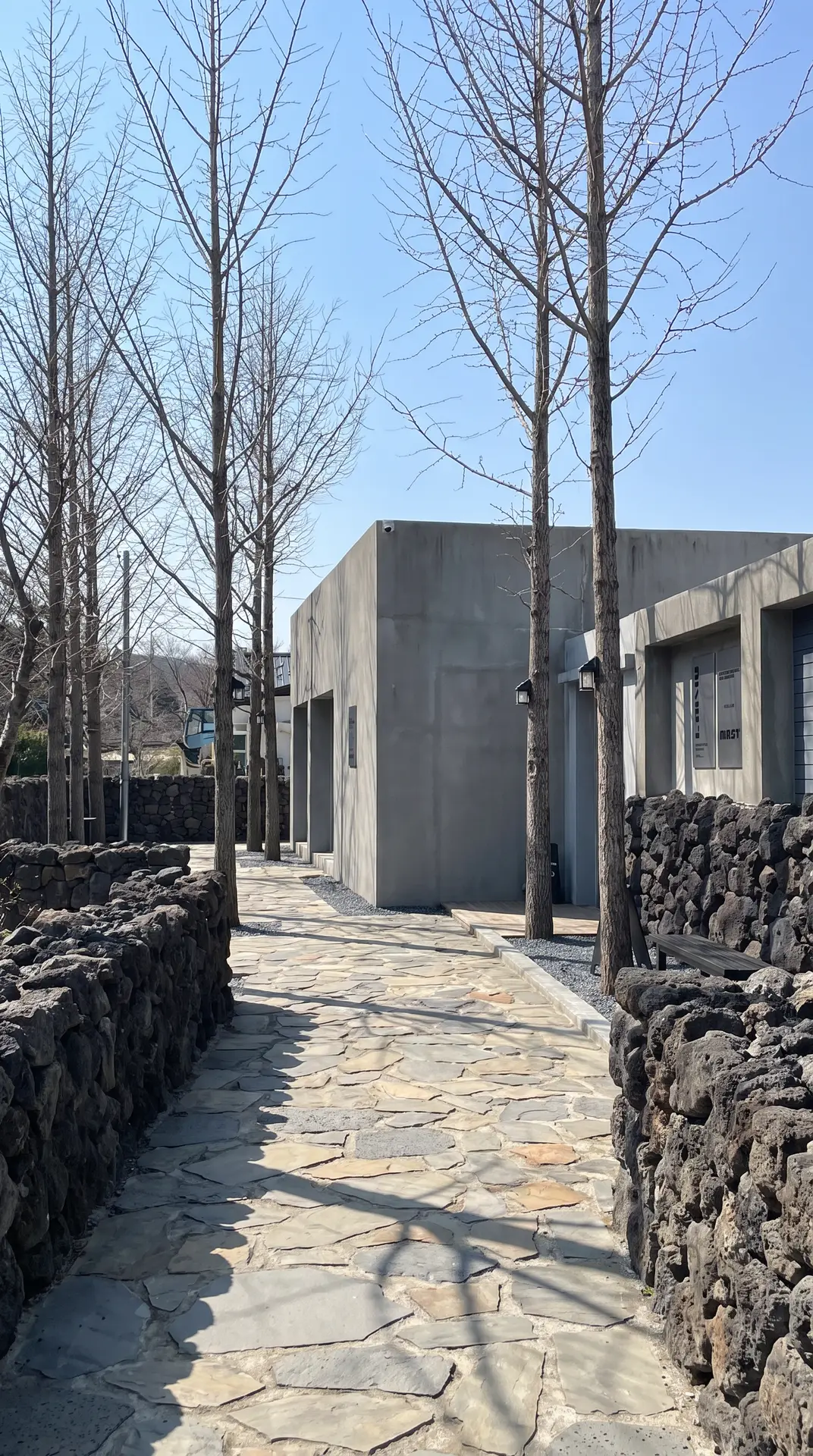 爆款中老年服装带货AI视频工作流|咖啡馆场景裂变-室外小径