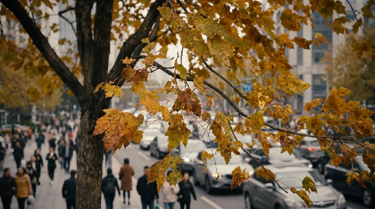 同一条路｜图片节点 42