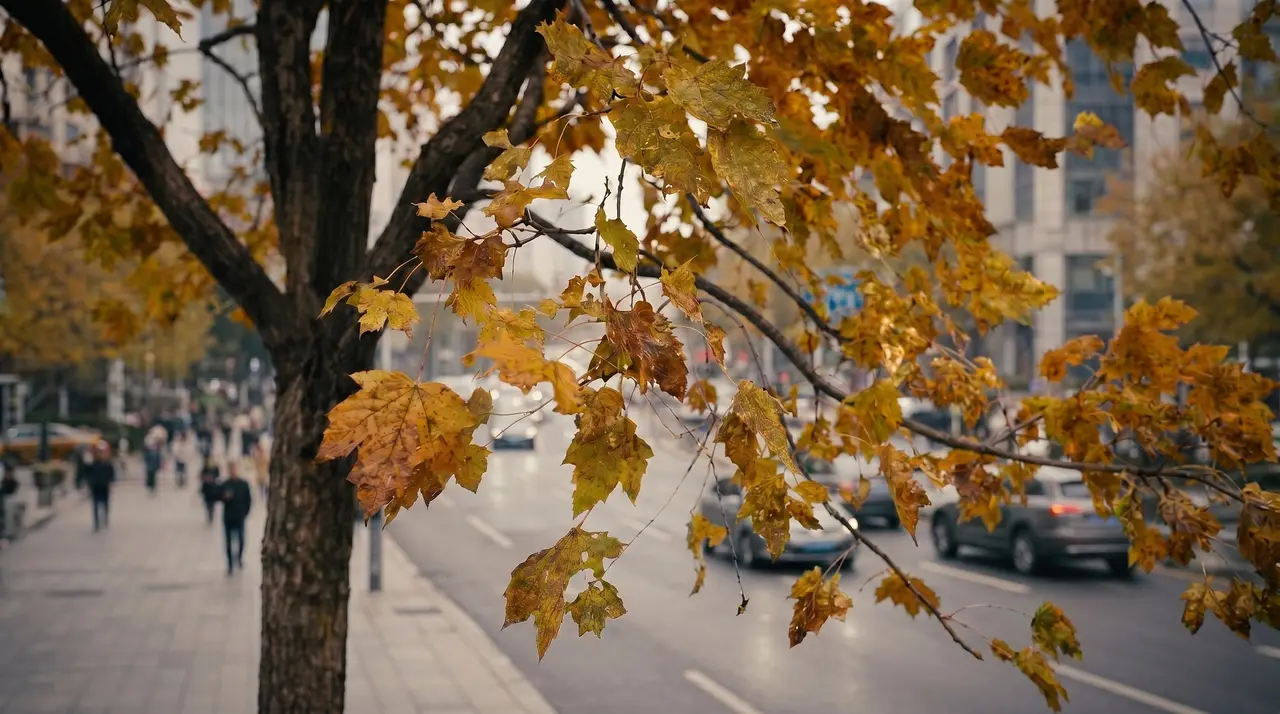 同一条路｜图片节点 65