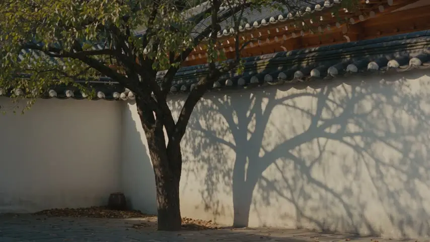 《青瓦》延吉风旅拍TVC｜视频节点 15