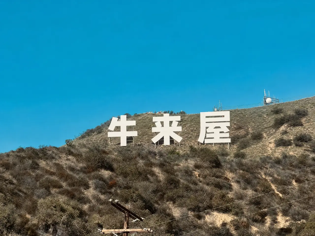 1.我想看牛牛。2.电影不存在了！！！- 副本｜图片节点 10