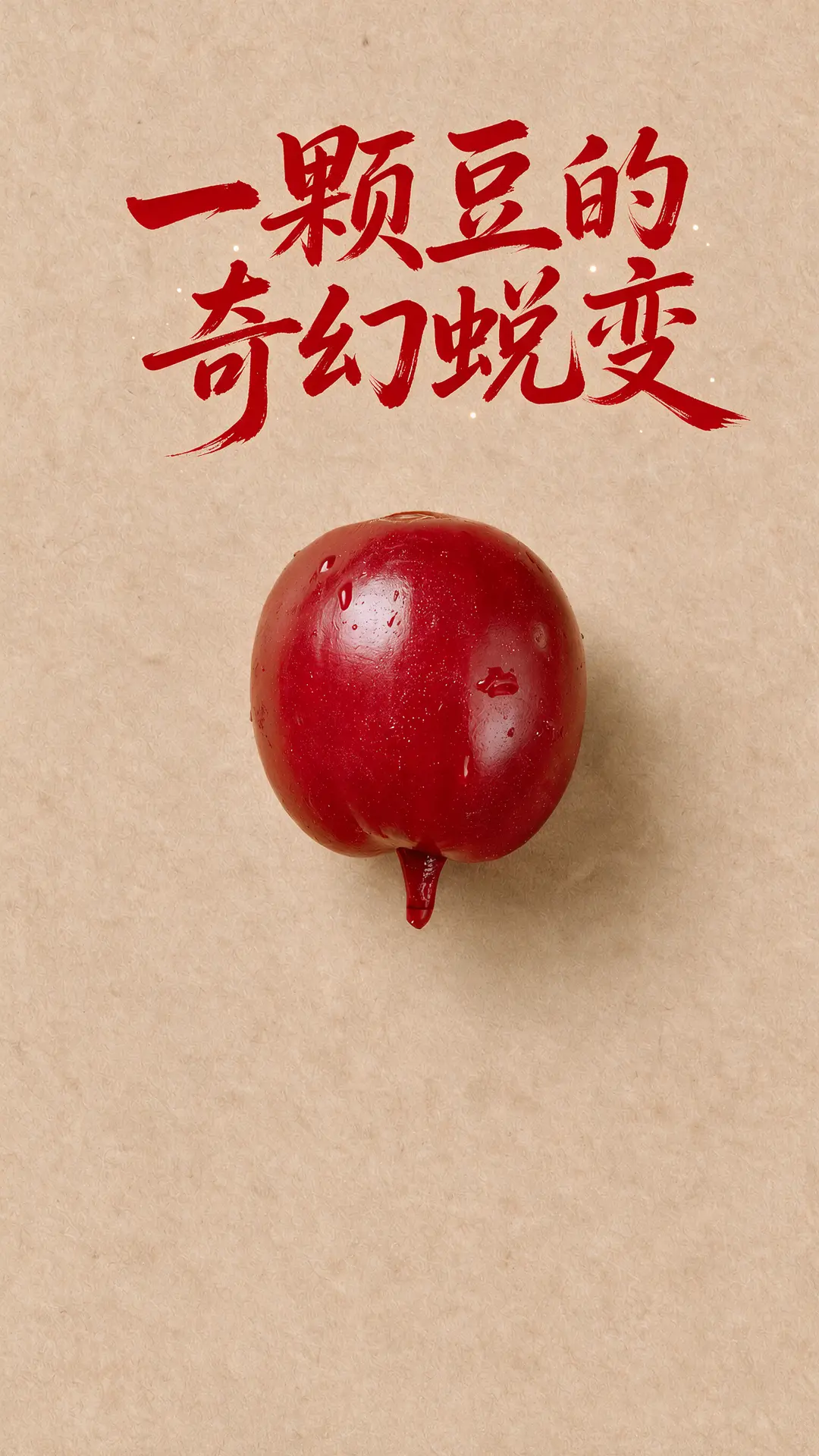 一颗豆的奇幻蜕变｜图片节点 5
