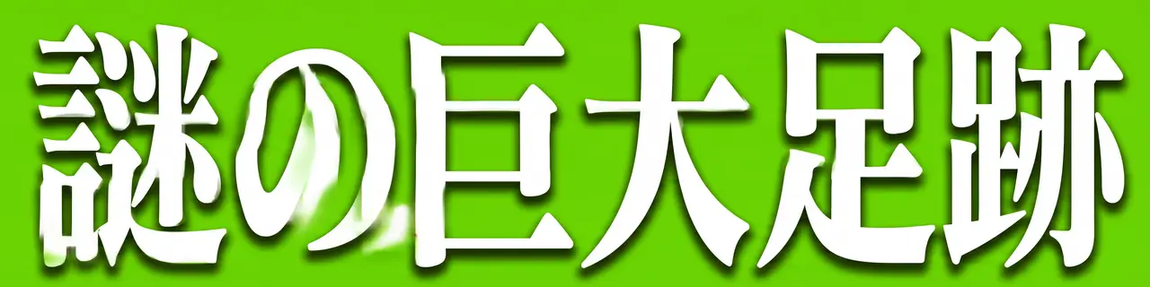 伪日本综艺的记录短片｜图片节点 12