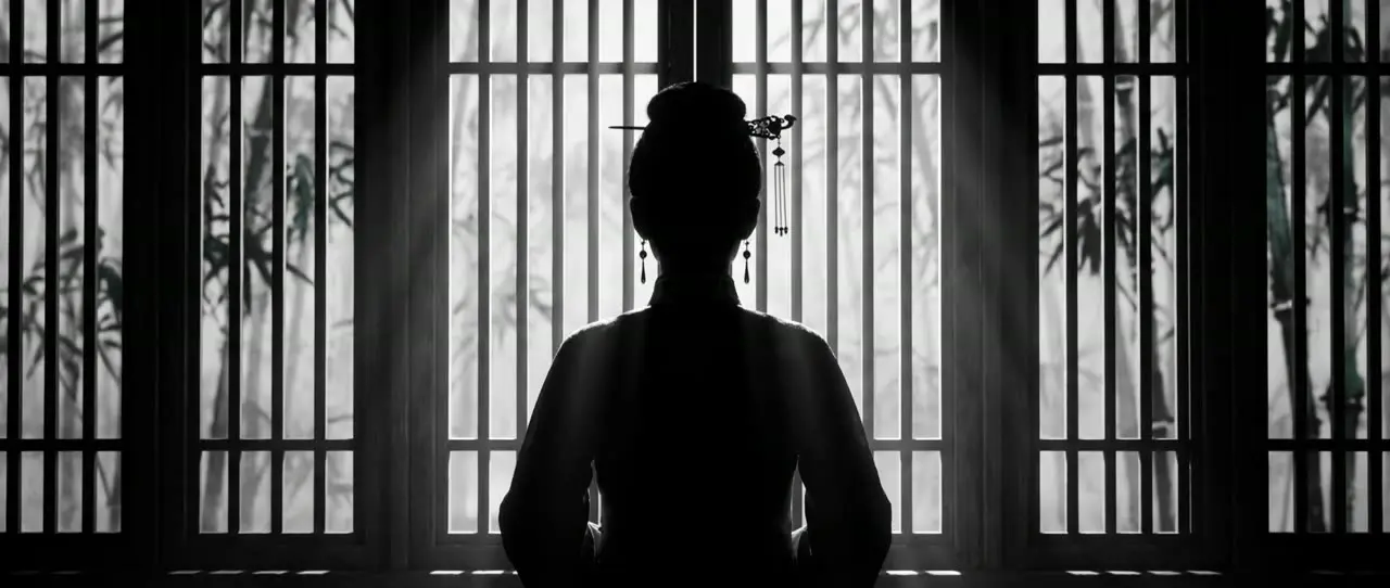 神秀东方｜视频节点 12