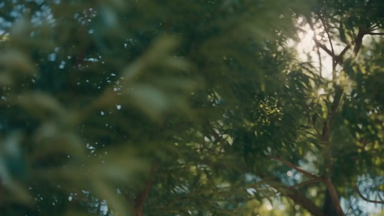 《那天下午我看到了世界末日》｜视频节点 7